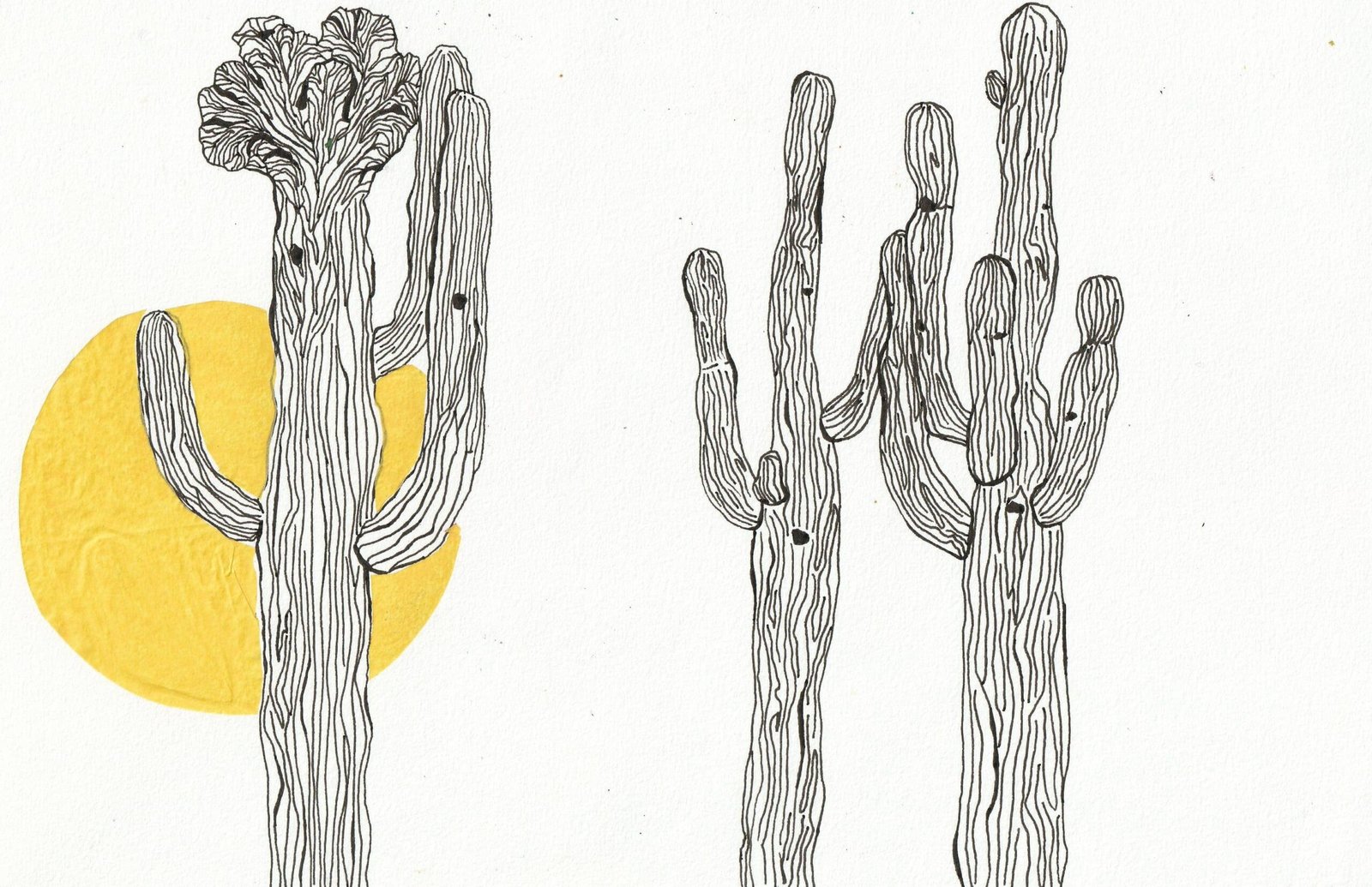 Saguaros in the Moonlight