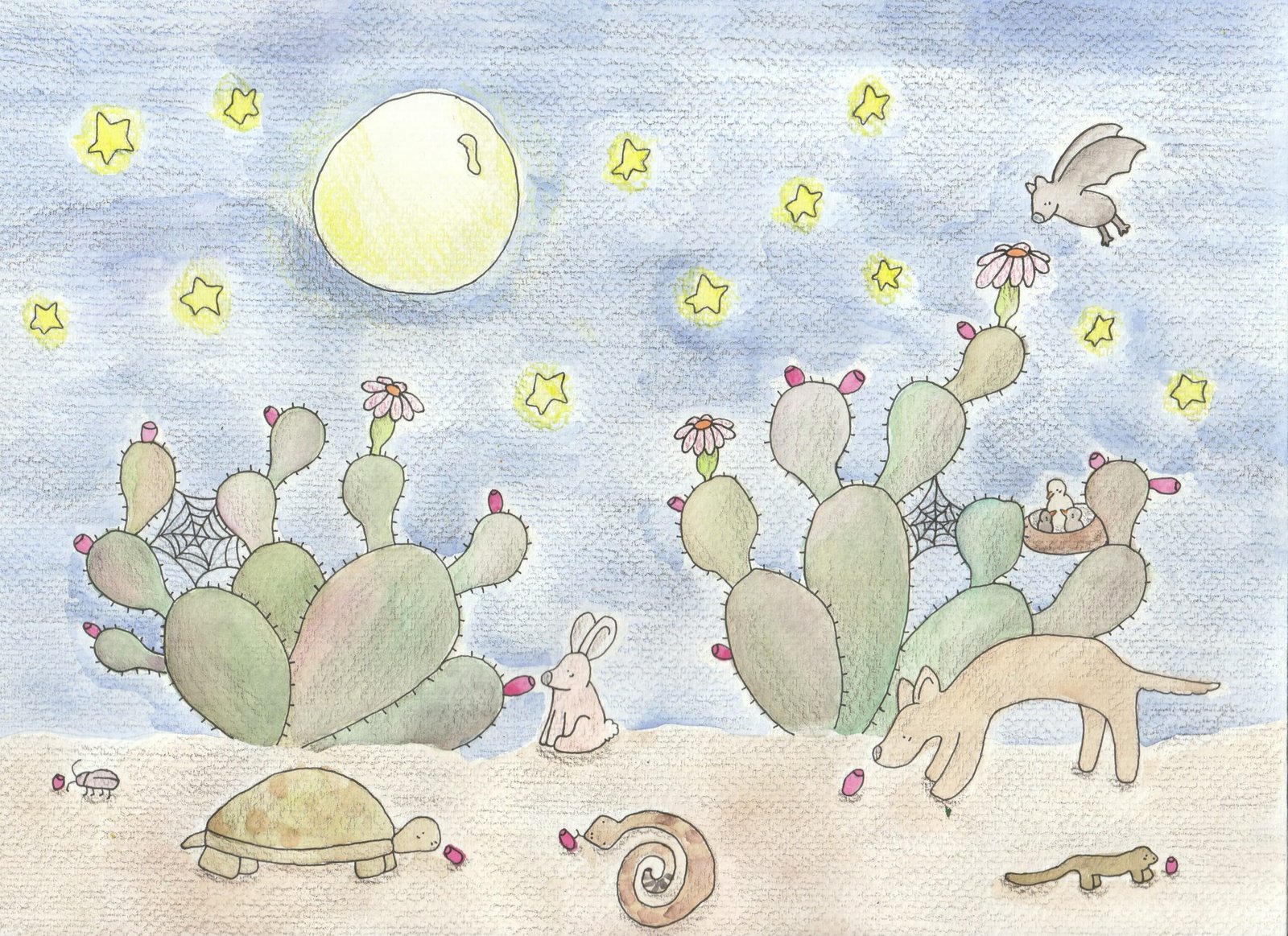 The Sonoran Desert at Night